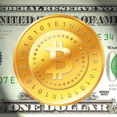 BitcoinWallet reports $1 million transactions, Blockchain transacts $19.6 billion