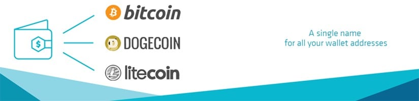 Netki, a Bitcoin DNS System