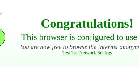 Tor Browser 5 Released: What You Should Know