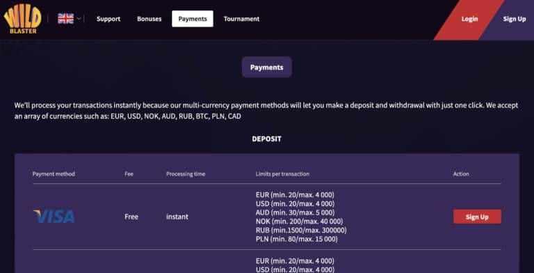 Payment Options at Wild Blaster