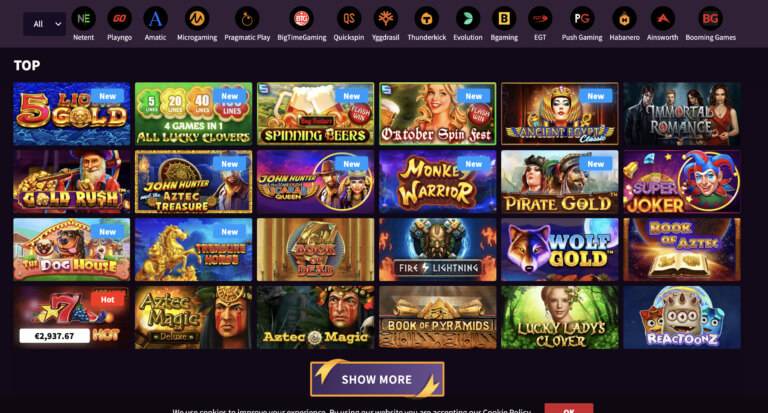 Play the Best Casino Games at Wild Blaster