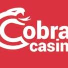 Cobra Casino Review