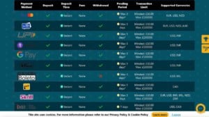 Spinaru Banking Options