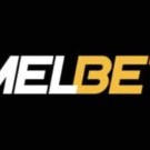 MELbet Casino Review